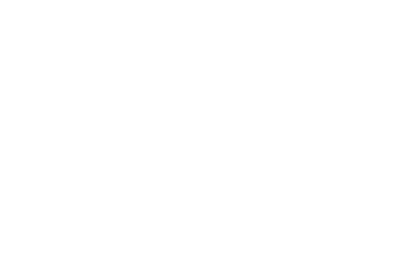 5dent_white_1