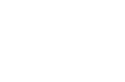 autohause_white_1