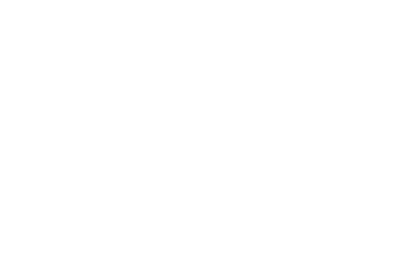 speedzone_white_1
